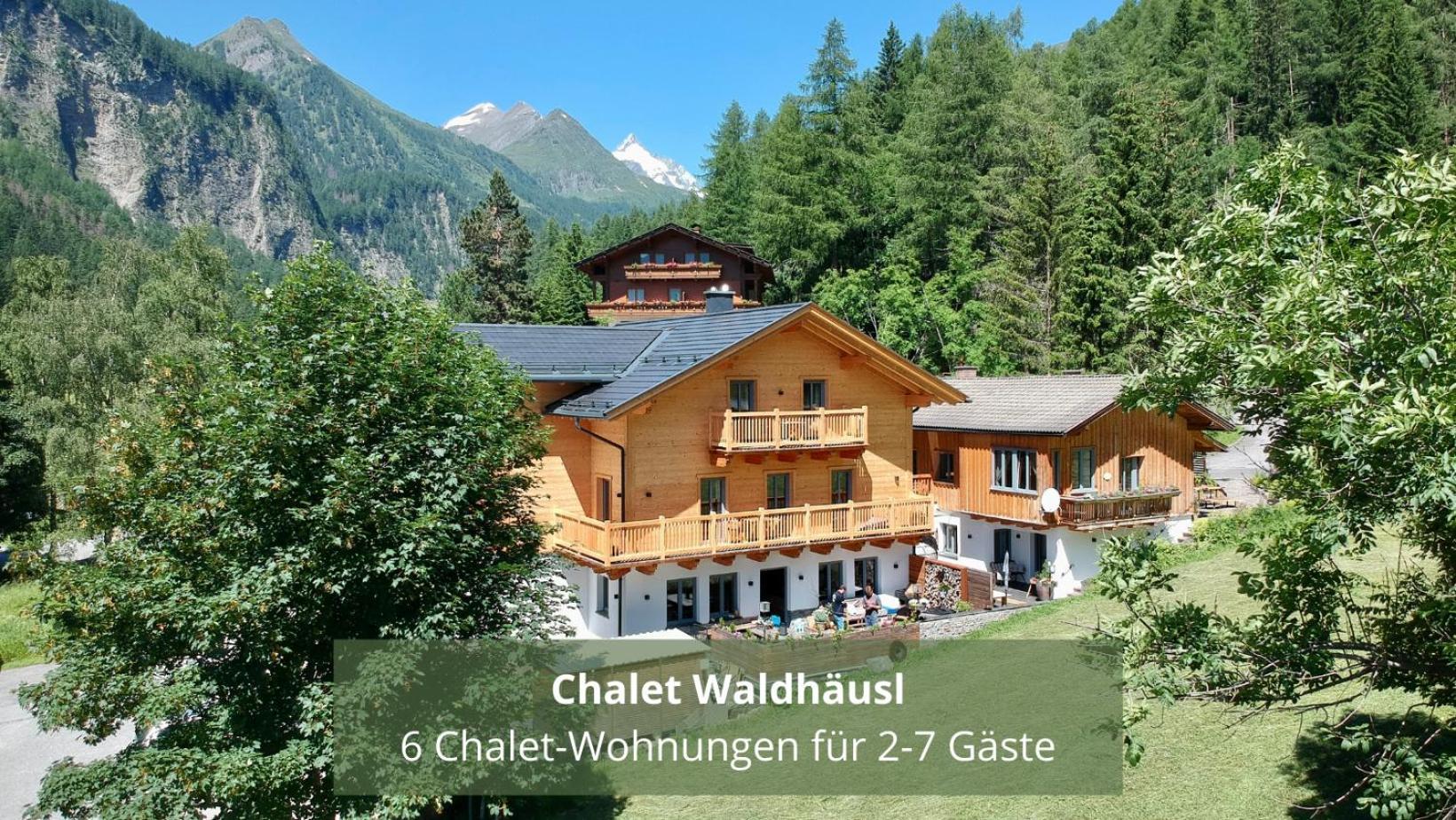 Chalet Waldhaeusl Luxurioese Ferienwohnungen Mit Sauna & Whirlpool, Kamin, Balkon Oder Terrasse Mit Bergblick Heiligenblut Exterior foto